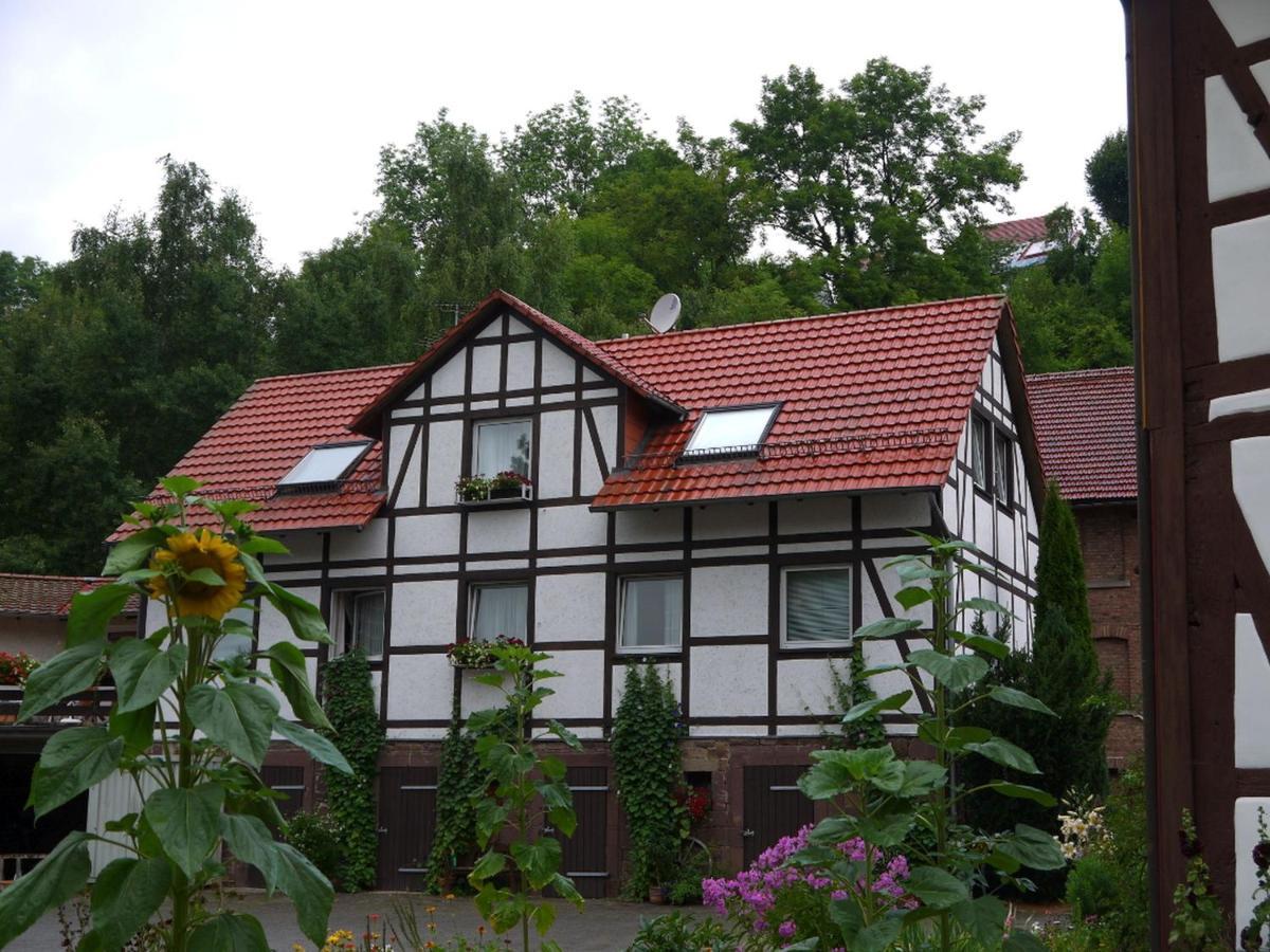 Ferienwohnungen Am Campingplatz Trendelburg ภายนอก รูปภาพ
